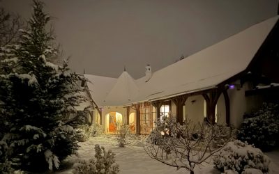 Kádár-kockából családi kúria, Ráckevén